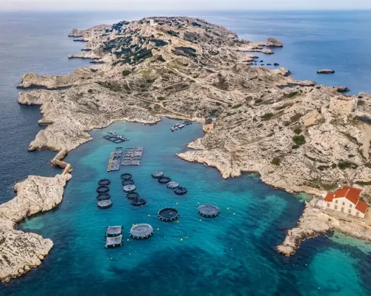 Visiter Marseille Taxi Chauffeur privé et transfert vers l'embarcadère pour les Îles du Frioul à Marseille