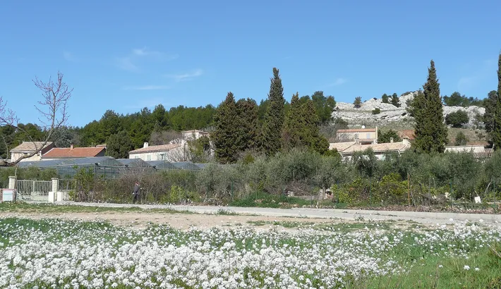 Maussane-les-Alpilles